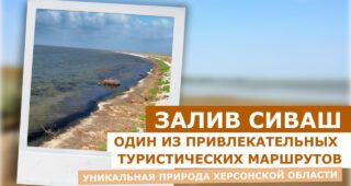 Уникальная природа Херсонской области: залив Сиваш