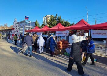 Херсонская область представила продукты собственного производства на предновогодней ярмарке в Севастополе