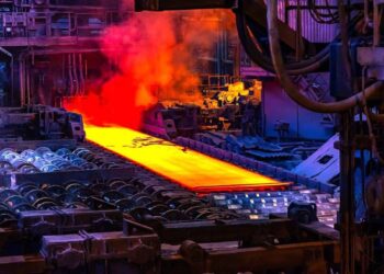 265 участников свободной экономической зоны в новых регионах