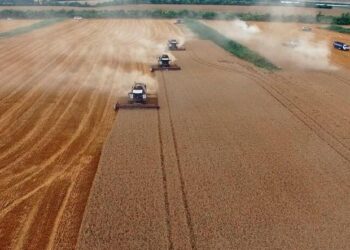 Развитие Донбасса и Новороссии вошло в приоритеты Стратегии пространственного развития РФ