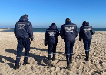 Студенты-спасатели помогли 105 птицам после разлива мазута в Черном море