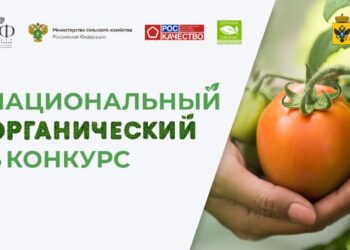 Объявлен старт Национального органического конкурса – 2025