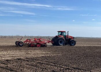 Глава Минсельхоза РФ озвучила перспективы предстоящей посевной кампании