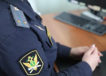 Херсонские судебные приставы разъяснили жителям региона, какие выплаты обладают иммунитетом