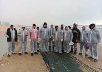 Работники заповедника продолжают очищать береговую линию Чёрного моря от нефтепродуктов