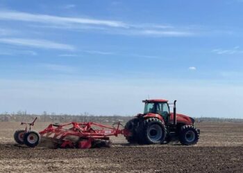 Господдержка АПК Херсонской области в 2025 году превысит 1 млрд рублей