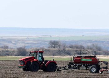 В Минсельхозе сообщили о хорошем состоянии озимых в Херсонской области